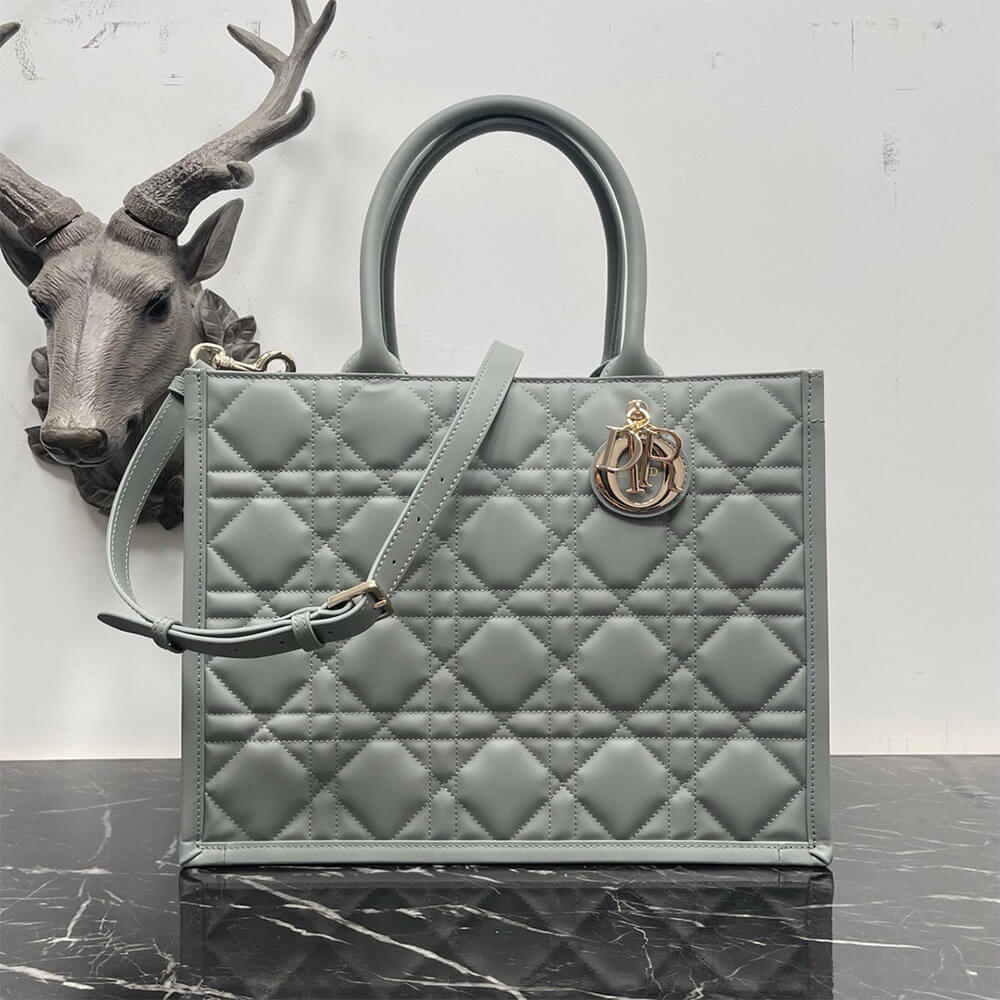 Dior Medium Dior Book Tote