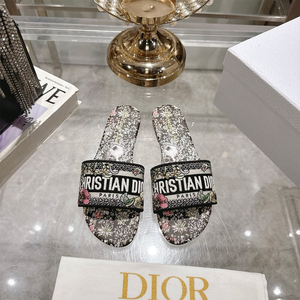 DIOR Dway Slide